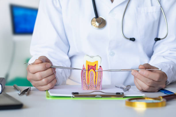 Best Emergency Dental Care for Sports Injuries in West, TX